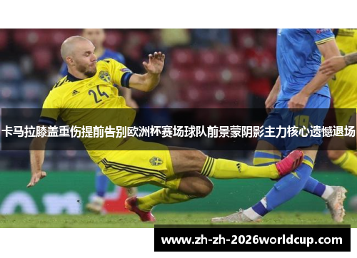 卡马拉膝盖重伤提前告别欧洲杯赛场球队前景蒙阴影主力核心遗憾退场