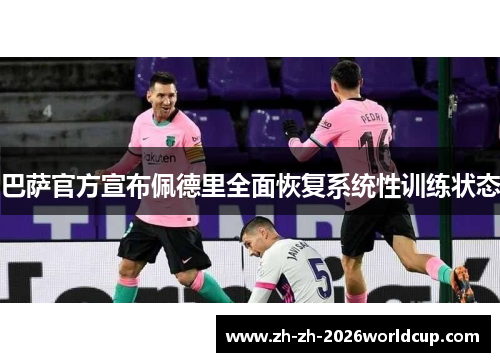 巴萨官方宣布佩德里全面恢复系统性训练状态